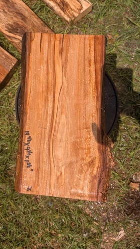 Unfinished live edge birch - live,
